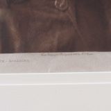 Edward Curtis “Big Ox – Apsaroke” Photogravure