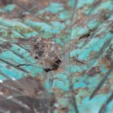 Navajo Silver Box with Leekya Deyuse Turquoise Leaf Fetish Carving