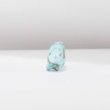 Sarah Leekya Turquoise Animal Fetish Carving